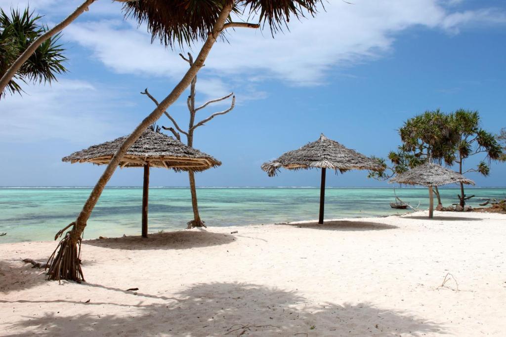Makunduchi Nest Style Beach Hotel Zanzibar מראה חיצוני תמונה