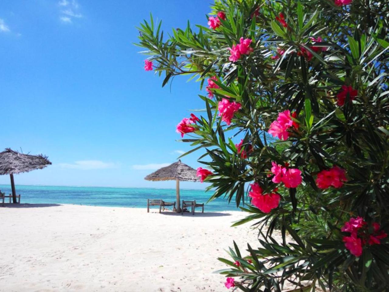 Makunduchi Nest Style Beach Hotel Zanzibar מראה חיצוני תמונה