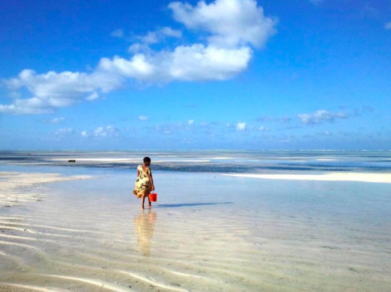 Makunduchi Nest Style Beach Hotel Zanzibar מראה חיצוני תמונה